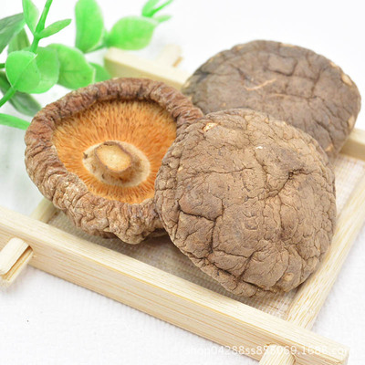 New products wholesale Mushroom Dried mushrooms North and South dried food Basswood mushrooms 500g Manufactor Direct selling One piece On behalf of Mushroom