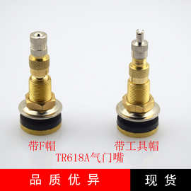 TR618A工程车、农用车气液型无内胎真空轮胎气门嘴拖拉机越野