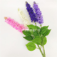 �S��ֱ�N �����L���� �w������l �ٻ�������֧��֦�L֦���_�m