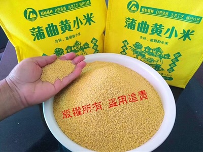 山西高平石末富硒蒲曲2018新黄小米5斤装|ms