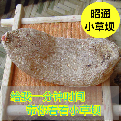 云南昭通小草坝高原非野生天麻晒干无硫熏冬麻云南特产天麻货批发