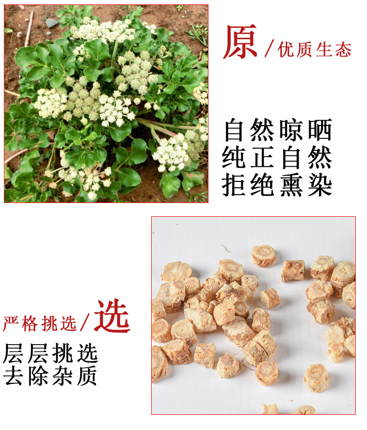 Bei Sha Shen (Glehnia littoralis) — Dried Food-Herb Root, Unsulfured, Inner Mongolia quality and texture
