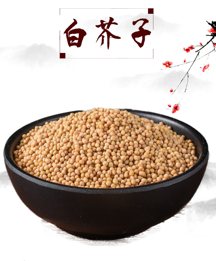 Bai Jie Zi (Sinapis alba) — White Mustard Seed, Dried Food-Herb for Poultices & Warming Compresses key features
