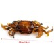 Lifelike Soft Crab Fishing Lures Soft Craw Baits Fresh Water Bass Swimbait Tackle Gear