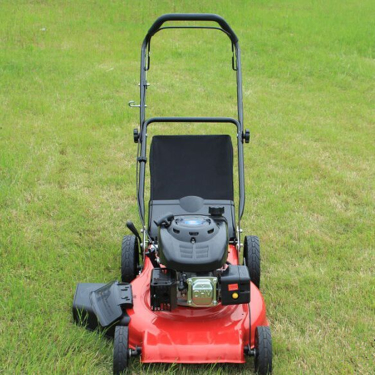手推式四轮草坪机 汽油草坪修复机 小型割草机厂家