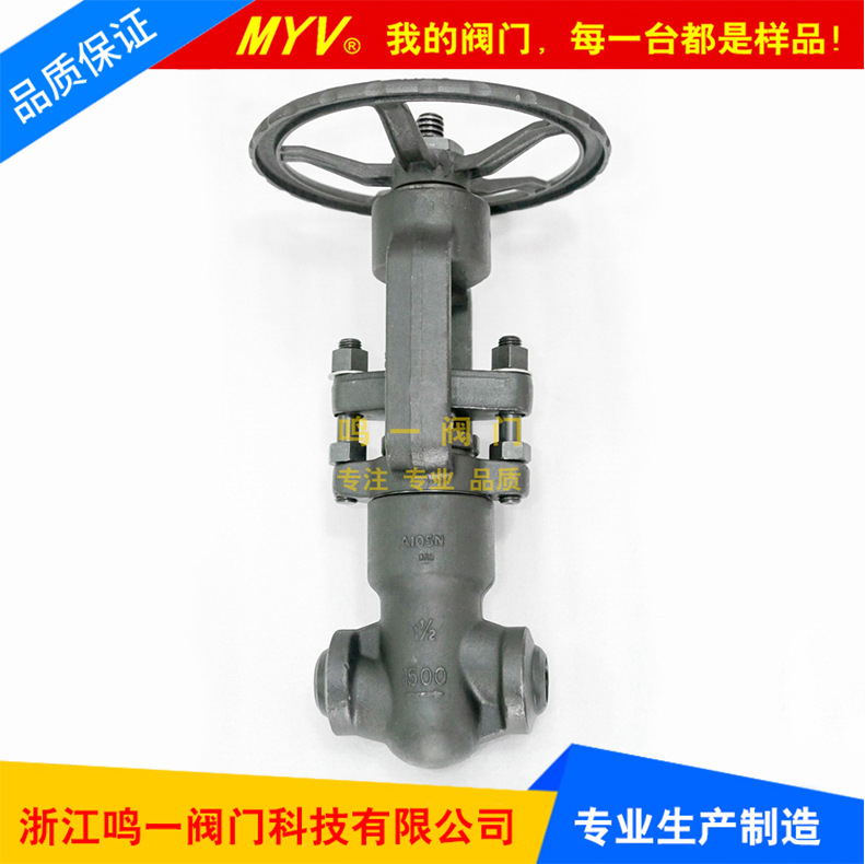 锻造超高压自密封截止阀 阀杆无旋转力矩小 压力自紧式截止阀厂家