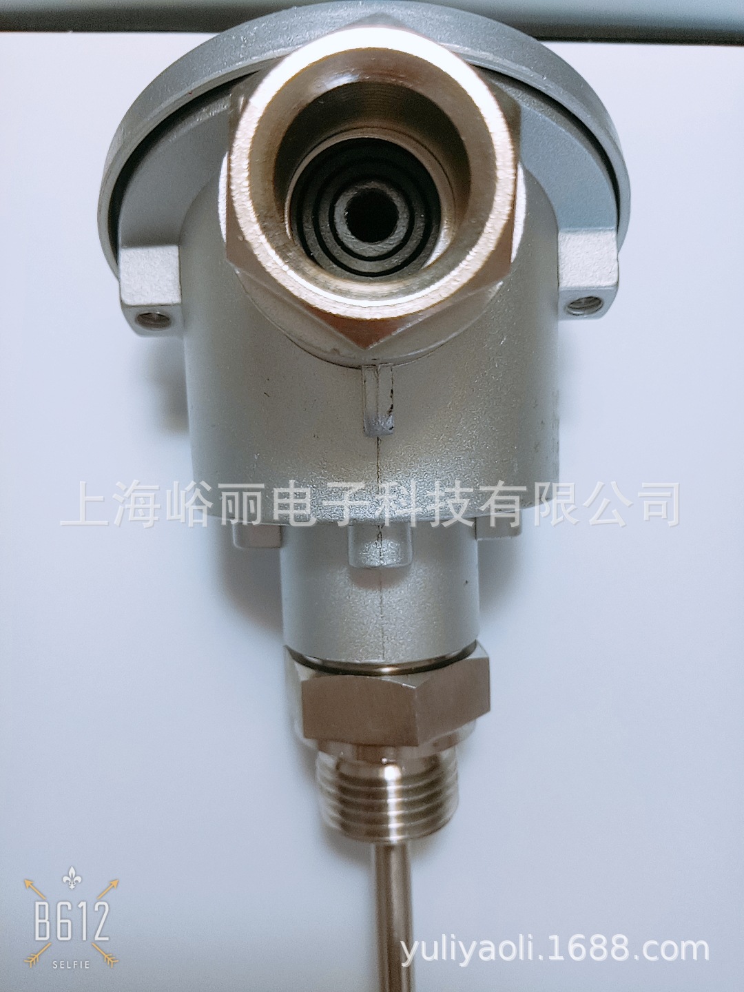 JUMO 原装正品温度传感器