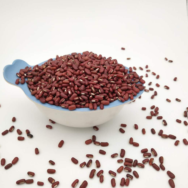 Also Whole grains Adzuki Beans Grain mill Soybean Milk raw material Adzuki Beans 500 bulk Red adzuki beans