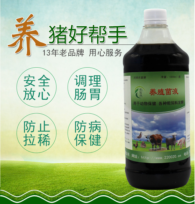 给猪吃哪种益生菌能提高猪的体质