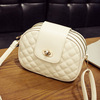 Fashionable small shoulder bag, bag strap one shoulder, small bag, Korean style