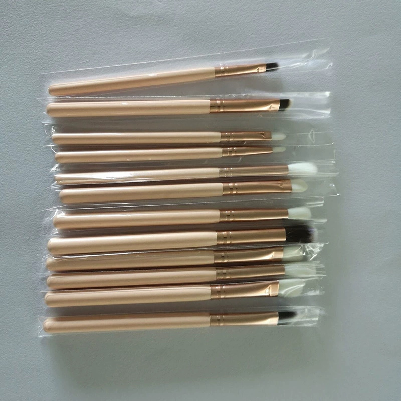 Handheld brush, (Physicals), 12 pieces
