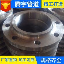 ���˲��P�316L���iƽ�����m CL600 ��PN110) SO-RF ASME B16.5