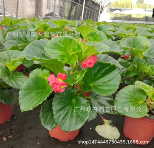 mmexport1534383626504