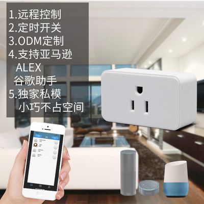 艾仕威自主研发独家私模wifi智能插座alexa语音控制|ru