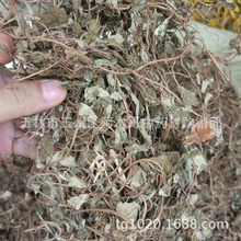 �����X�� �Ĵ����~���X�� С�~���X�� �^·�S  ��Ʒ