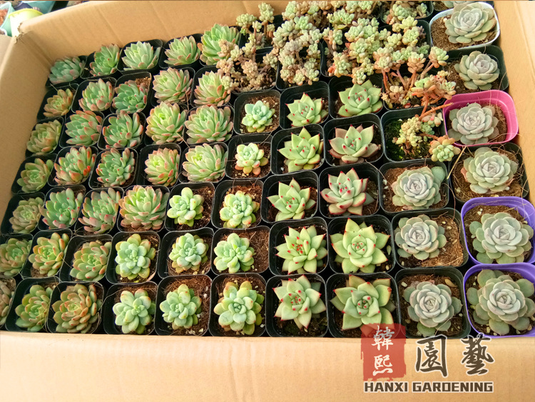 微信图片_20180130111603