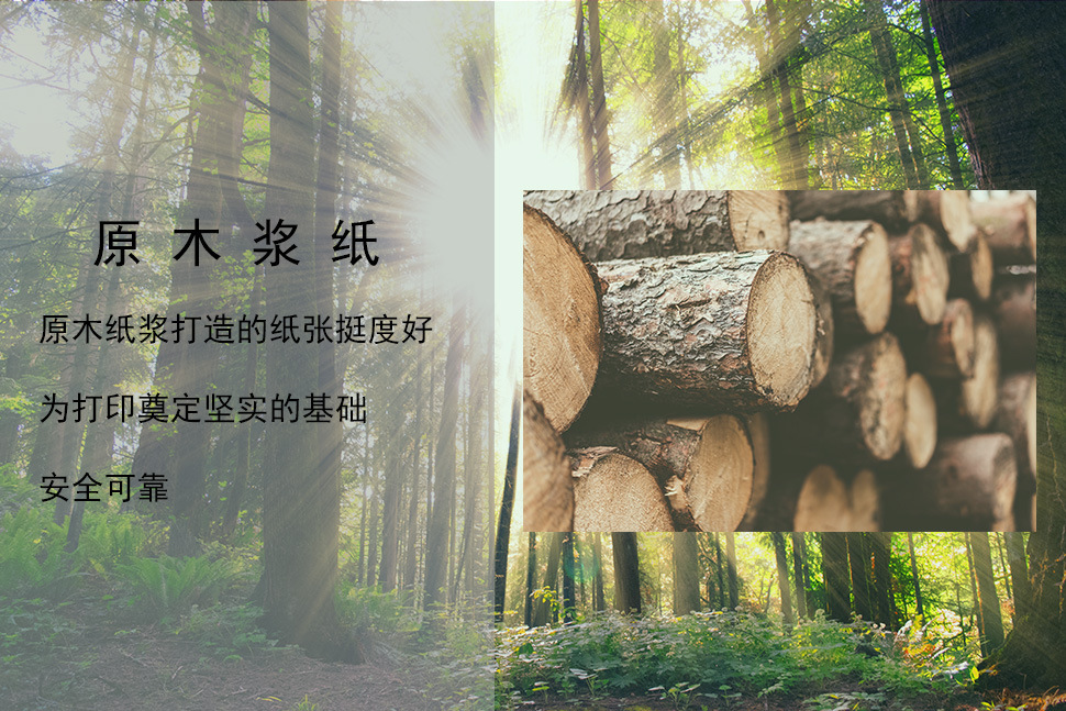 原木纸