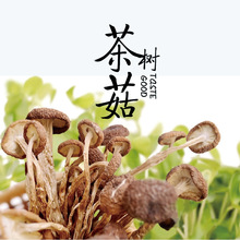 江西特色茶树菇干货不开伞菌菇食用菌干茶树菇500克煲汤食材