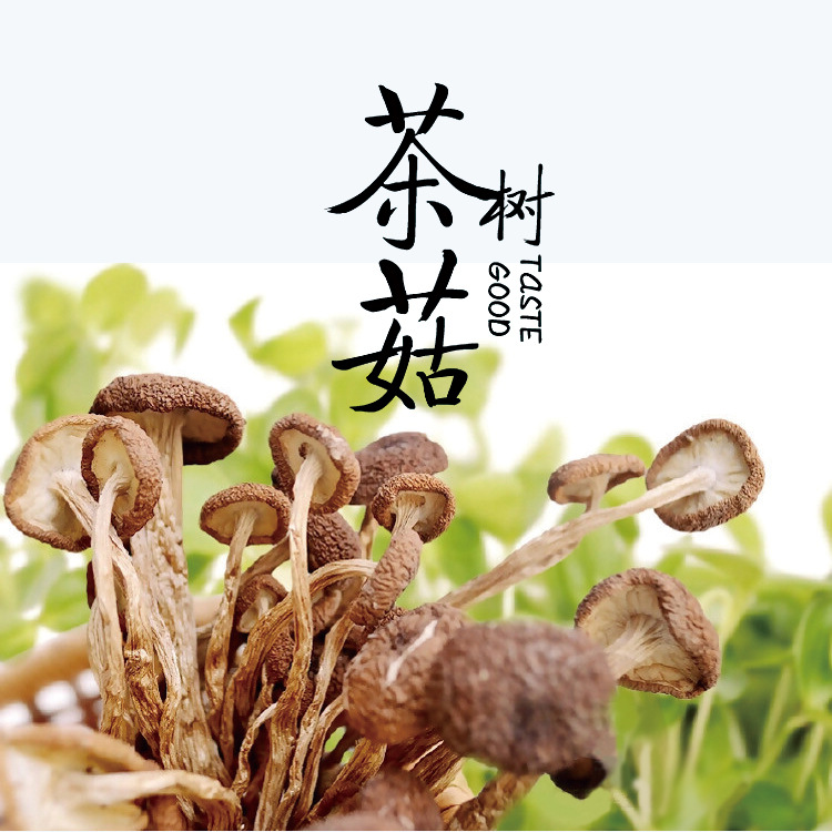 江西特色茶树菇干货不开伞菌菇食用菌干茶树菇500克煲汤食材
