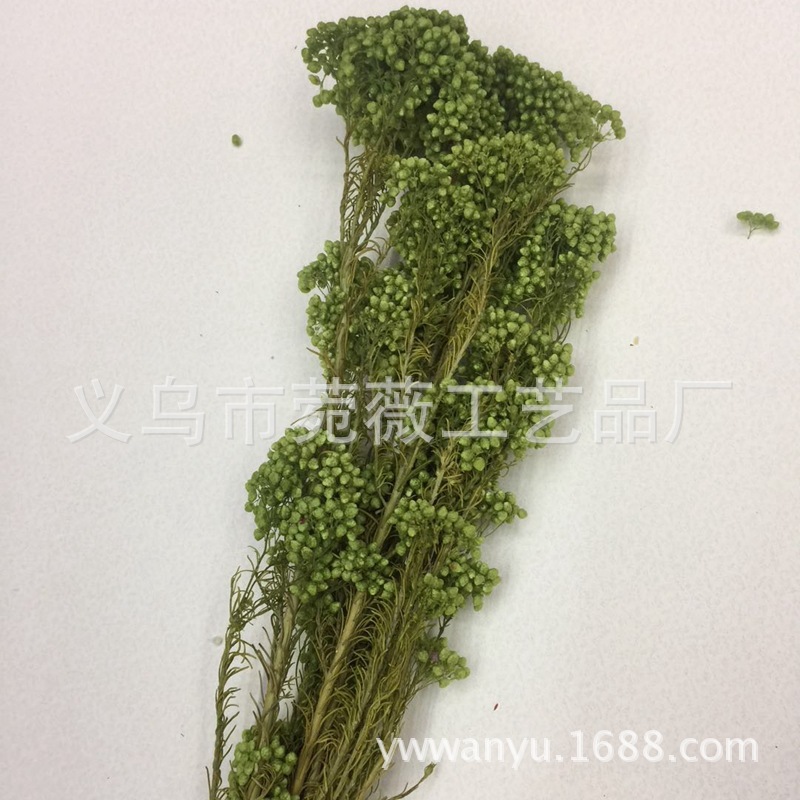 微信图片_20180126225626_副本