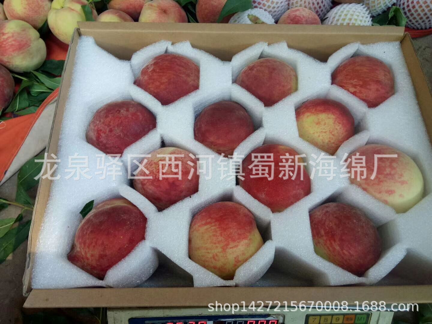 供应12枚4两桃子包装防震包装海绵/水果包装海绵