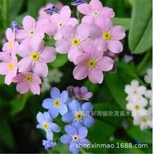 ���l�����ݷN�� Ұ���N�������ҷN�ӻ��N�Ӳʰ����ļ��ɲ����]