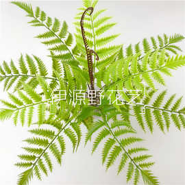 大铁树叶蕨类叶绿化工程仿真植物墙配材婚庆波斯叶假花路引装饰