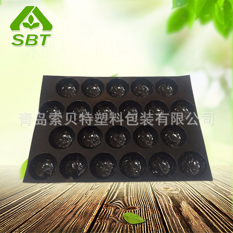 22粒苹果托盘 pvc黑色 塑料食品托盘 可定制 各种规格材质