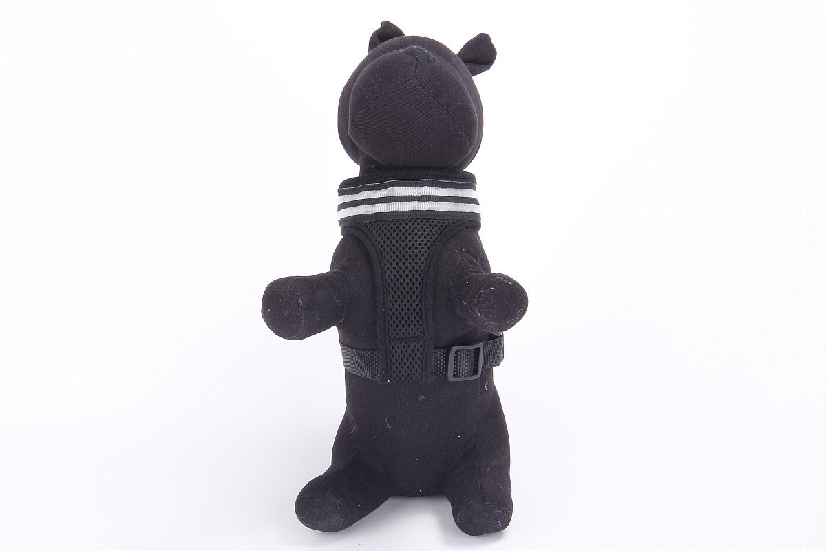 双光纤发光胸背带1200 (19).jpg