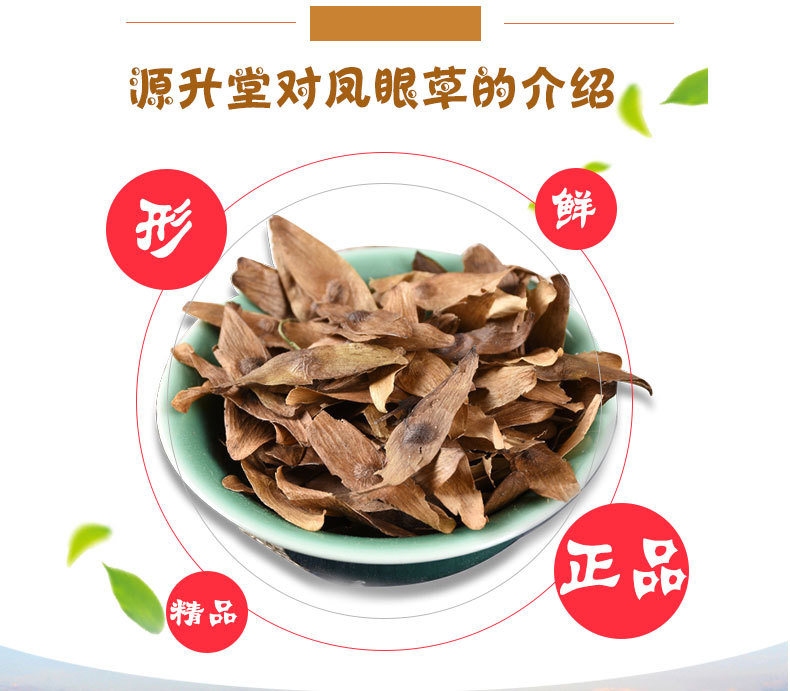 Feng Yan Cao (Ailanthus altissima Fruit) — Dried Chinese Herb, Sulfur-Free, 500g key features
