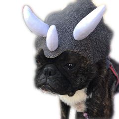 Amazon Pet Supplies New Pet Dinosaur Hat, Dog Hat Triceratops Pet Hat Dinosaur Headgear