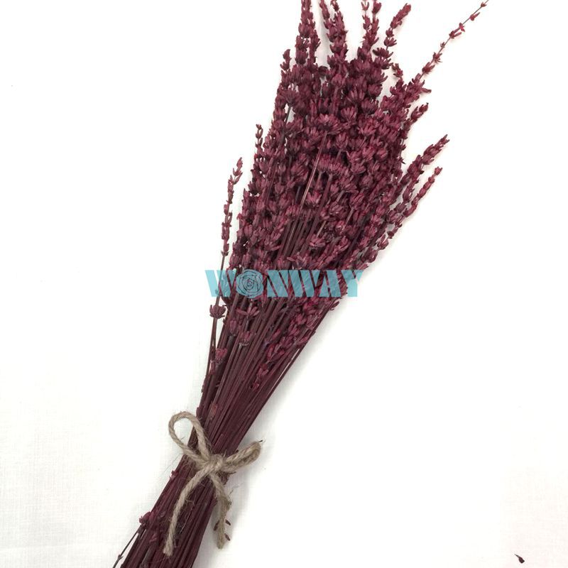 微信图片_20180428101851