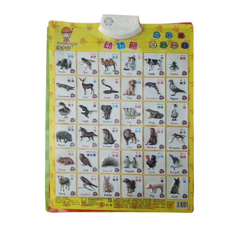 动物篇 拷贝.jpg