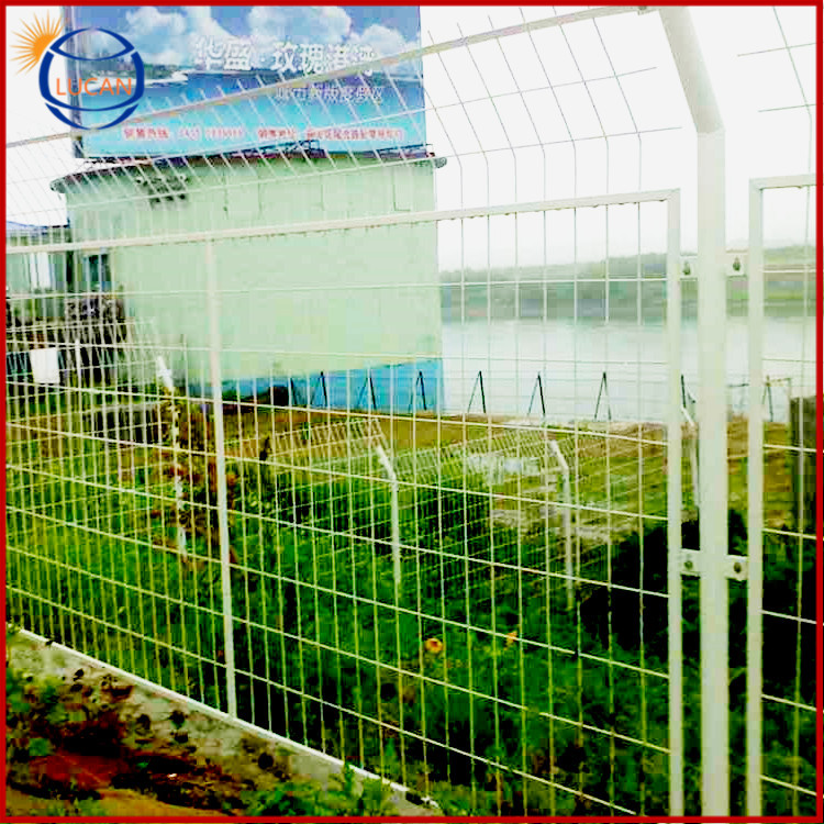 定做直销陆灿渔塘防护网白色网片立柱框架护栏网纯白边框围栏网