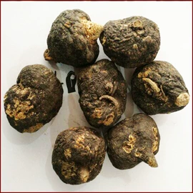 其他药食同源;参类滋补品;当归