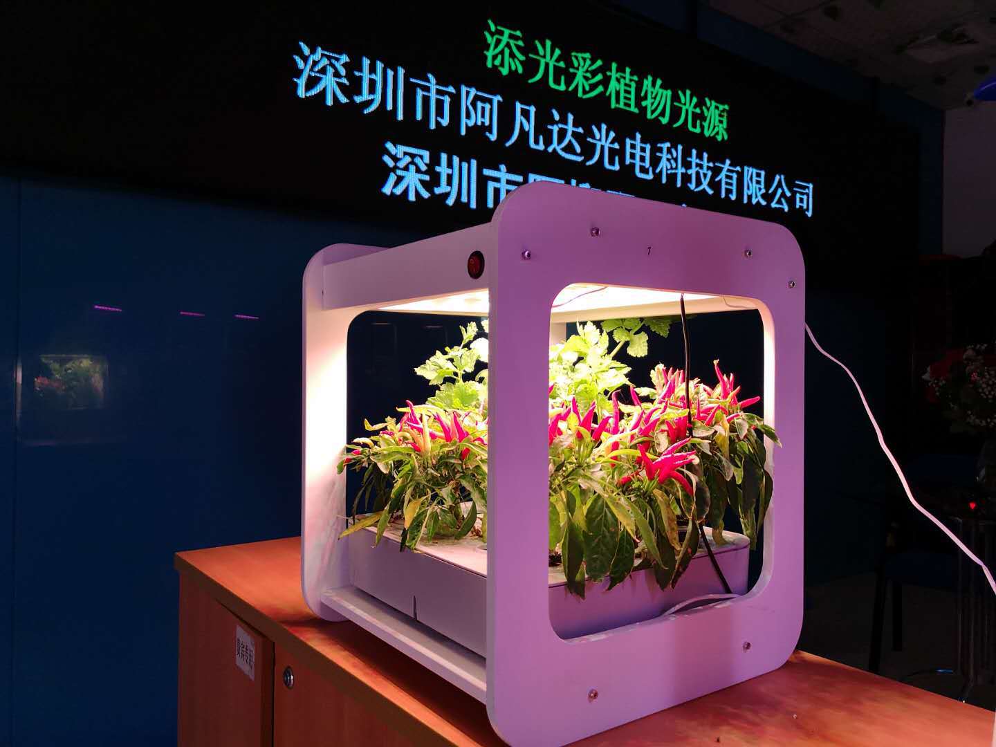 阳台立体菜园图片 海量高清阳台立体菜园图片大全 阿里巴巴