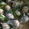 网红初生蛋厂家直销 广西北部湾特产咸海鸭蛋 50枚装初生烤海鸭蛋|ru