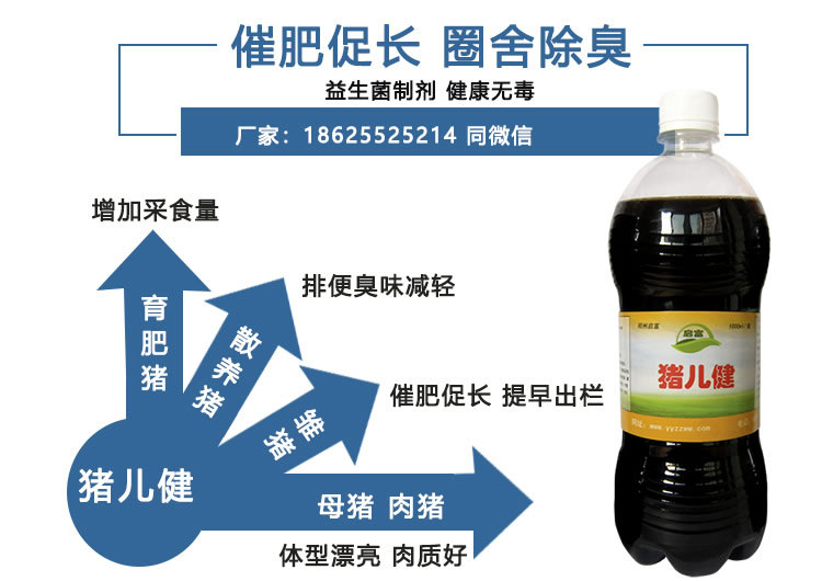 健康催肥用猪儿健益生菌
