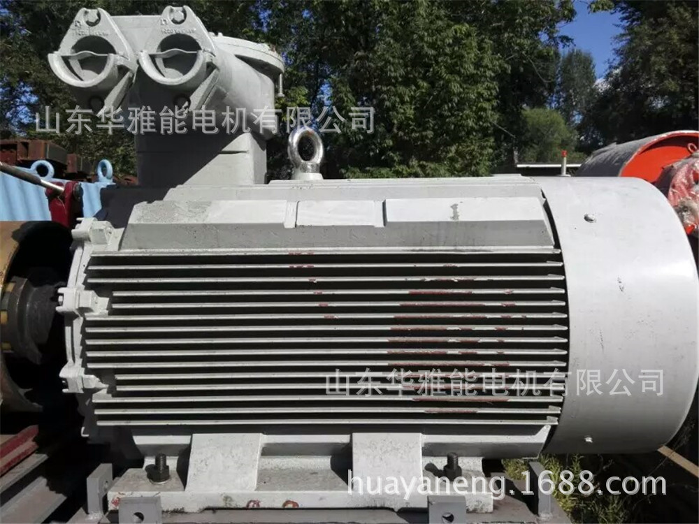 YE4EJ-355M2-8-200电机铠装进线Y2EJ电机整机加工长填料涵深灰漆