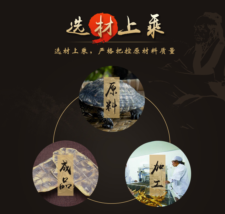 Gui Ban (Plastrum Testudinis) — Dried Turtle Shell Pieces, Whole 500g, Zhejiang Origin quality and texture