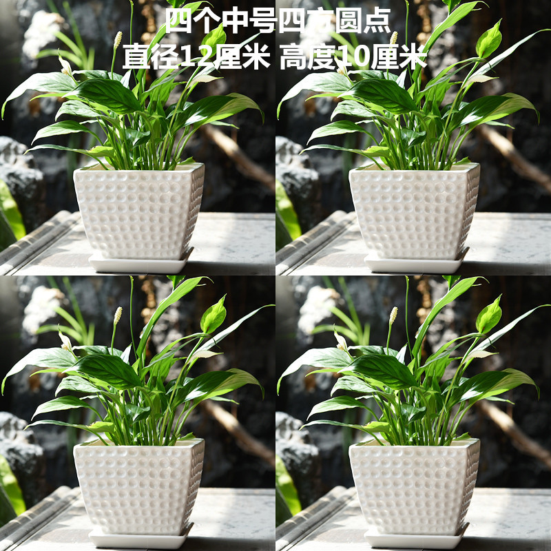 四个圆点_副本.jpg