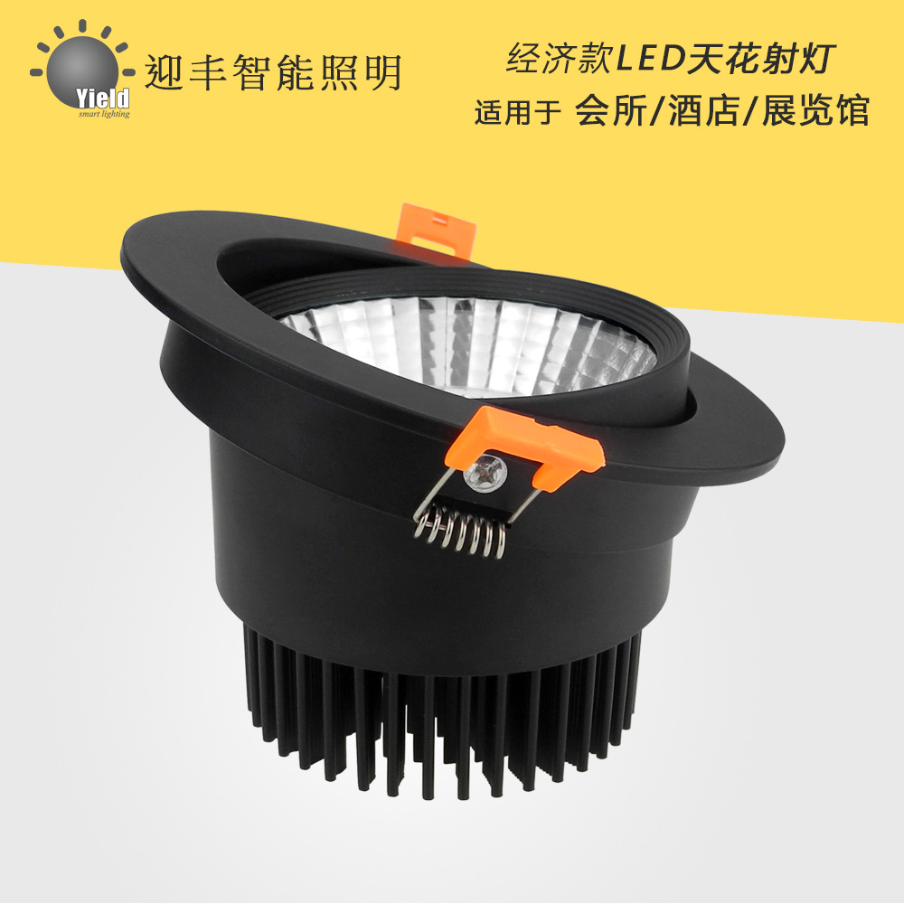 LED Spotlight Manufactor wholesale hotel Market lighting 3W5W30W40W black white Embedded system COB Ceiling