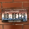 46