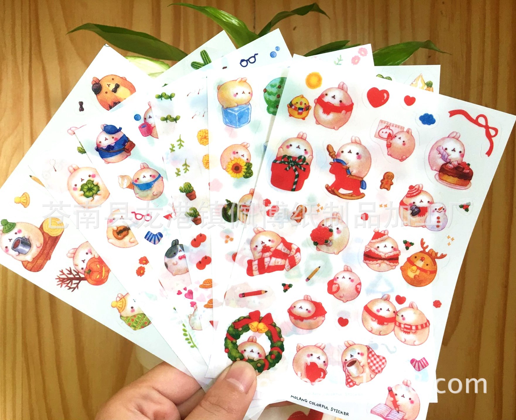 圆滚兔第四季01