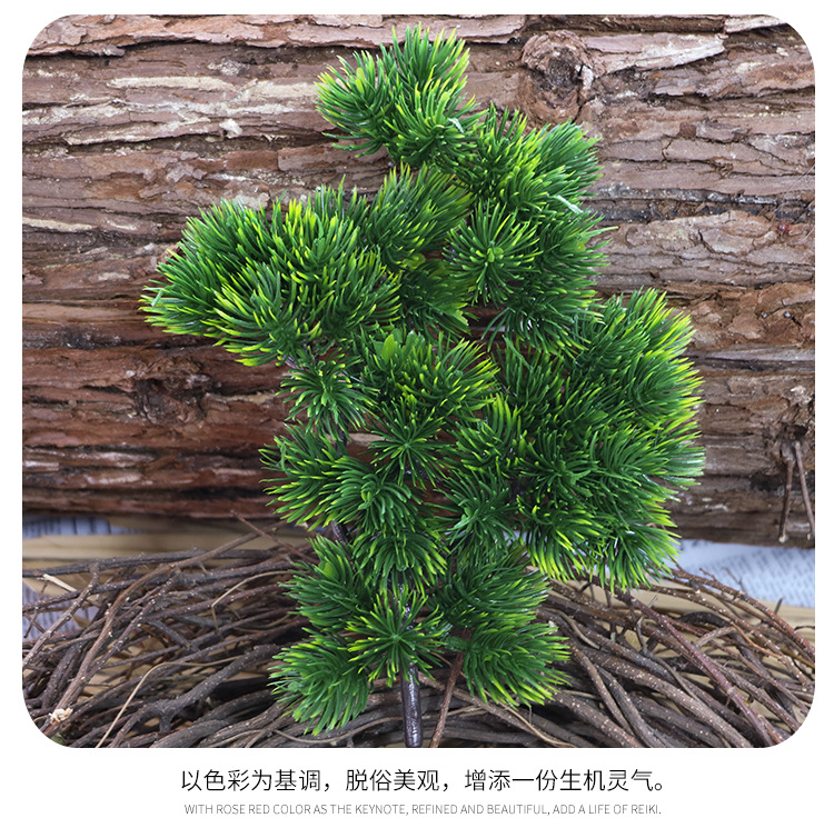 仿真美人松绿植松枝崖柏装饰叶子松针松柏树叶鱼缸枯树装饰小松子-阿里巴巴