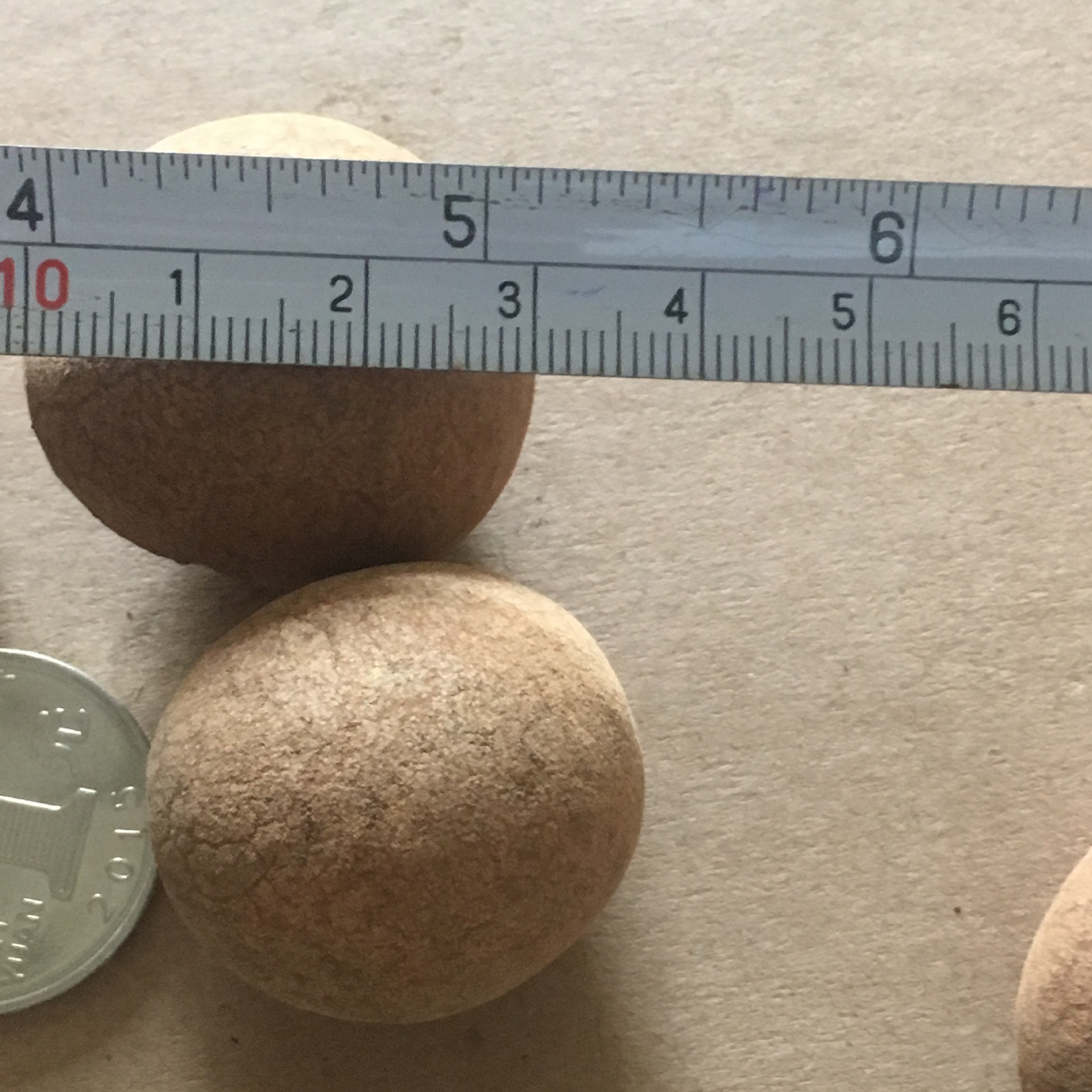 厂家批发干果直径2.6-3.3公分大大果桂圆干龙眼干