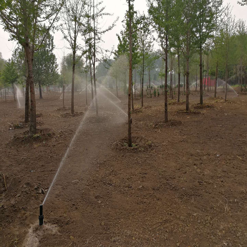 738539117037989369_1