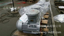 �Ƅ�Y2EJ늙C�Ƅ�YE4EJ-355M1-2-220KW늙C�M���S�ЈA�������S��