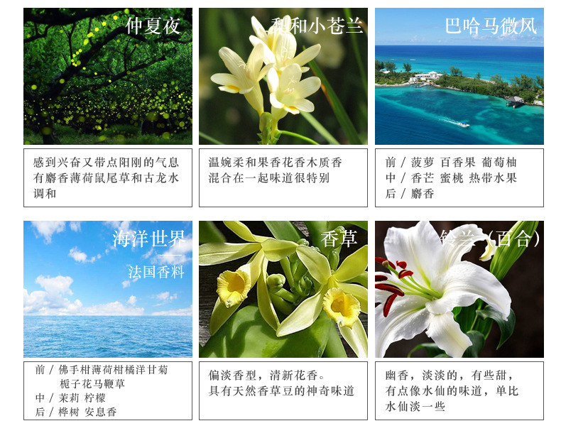 阿里详情模板1_18