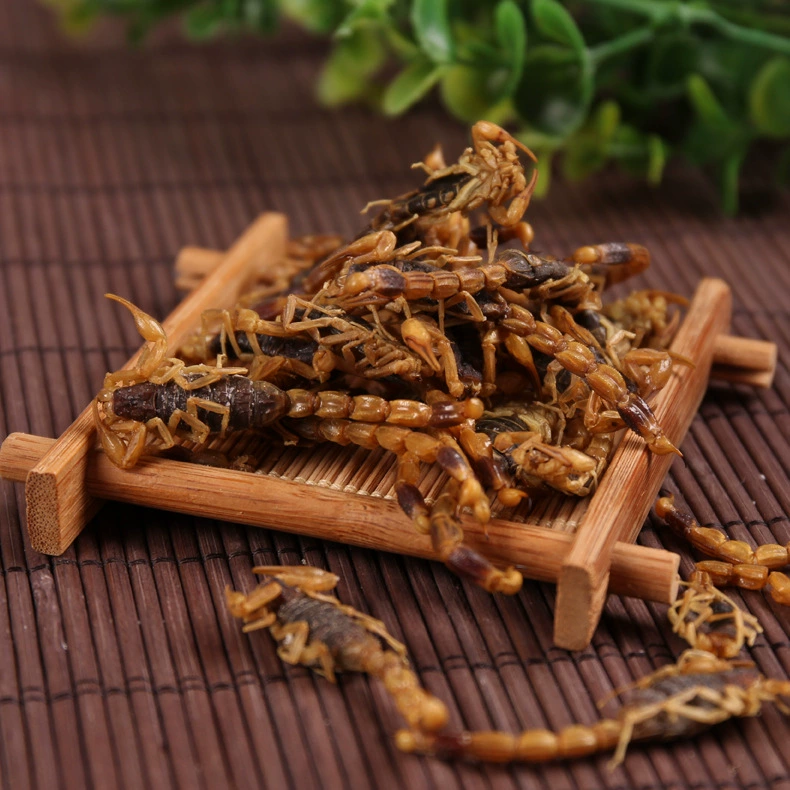 Скорпион Сухой Скорпион Весь червь Скорпион в наличии Оптовая продажа без соли Скорпион Прозрачная вода Скорпион Большой Конг